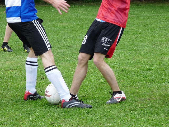 或许可以给 或许可以给