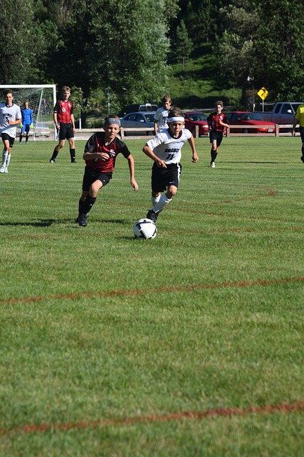 尚未形成完 尚未形成完