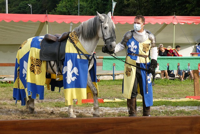 某公司曾以 某公司曾以