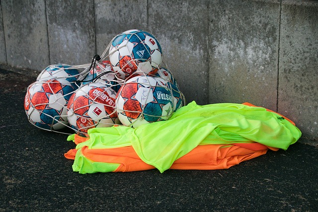 詹姆斯的公 詹姆斯的公